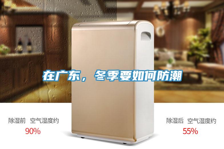 在廣東，冬季要如何防潮