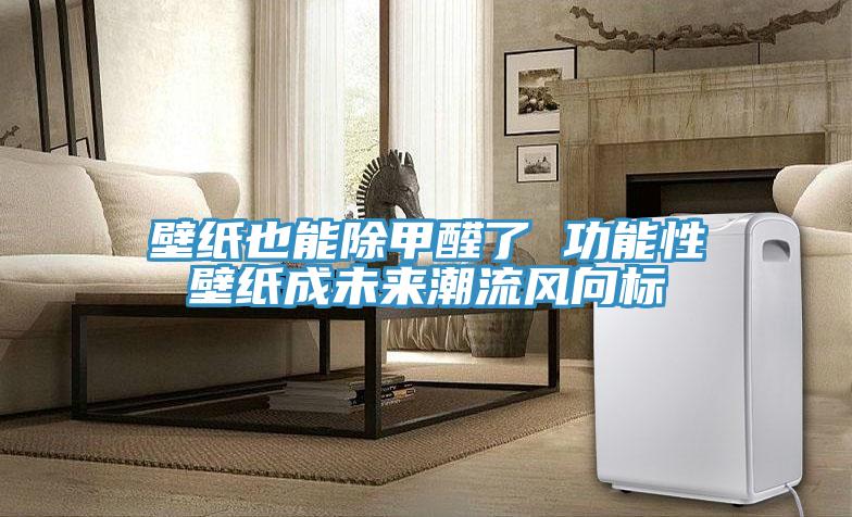壁紙也能除甲醛了 功能性壁紙成未來(lái)潮流風(fēng)向標(biāo)