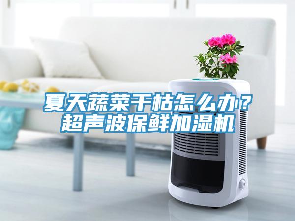 夏天蔬菜干枯怎么辦？超聲波保鮮加濕機(jī)