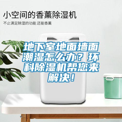 地下室地面墻面潮濕怎么辦？環(huán)科除濕機(jī)幫您來(lái)解決！