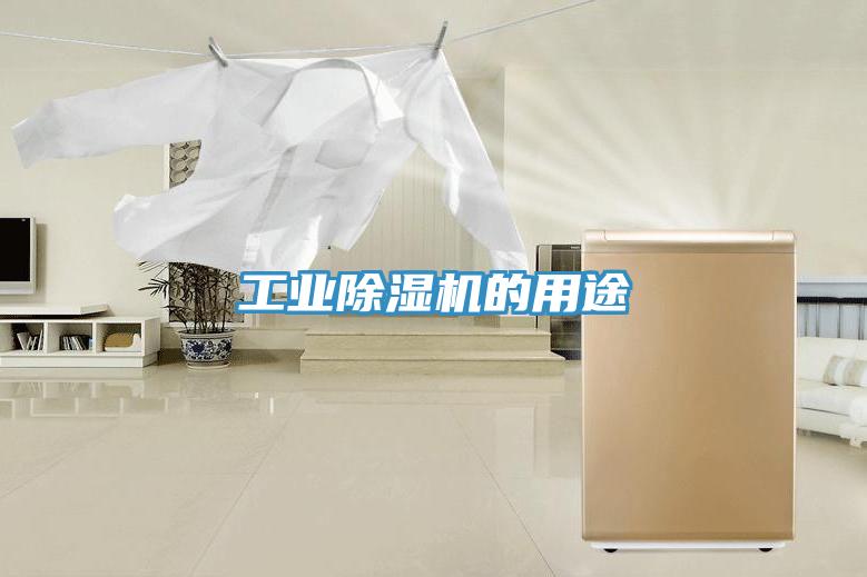 工業(yè)除濕機(jī)的用途
