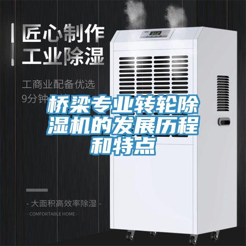 橋梁專(zhuān)業(yè)轉(zhuǎn)輪除濕機(jī)的發(fā)展歷程和特點(diǎn)