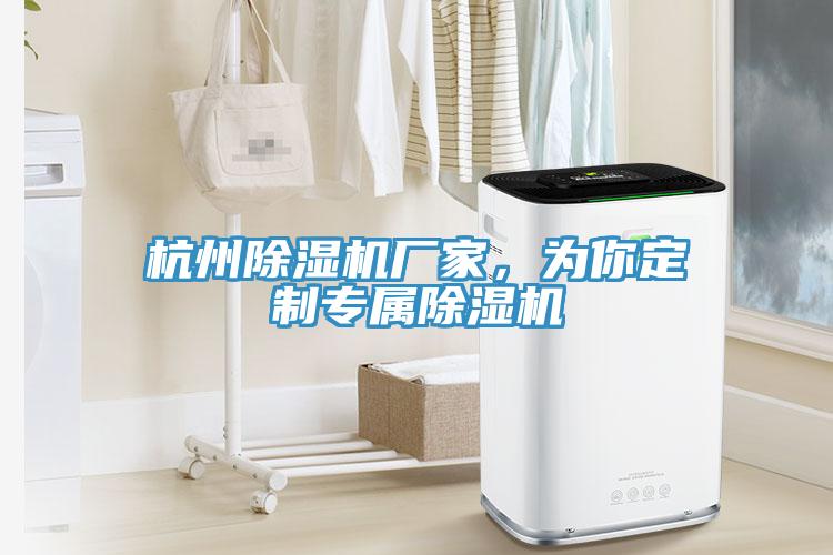 杭州除濕機(jī)廠家，為你定制專屬除濕機(jī)