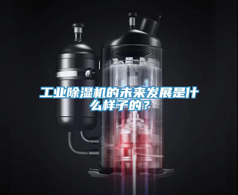 工業(yè)除濕機(jī)的未來(lái)發(fā)展是什么樣子的？