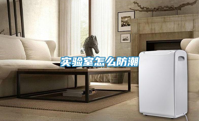 實(shí)驗(yàn)室怎么防潮