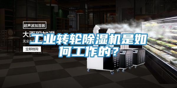 工業(yè)轉(zhuǎn)輪除濕機(jī)是如何工作的？