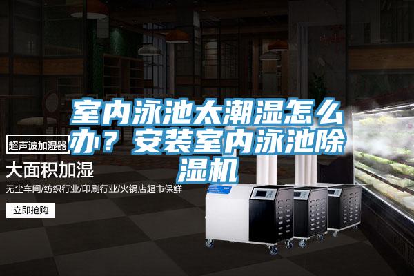 室內(nèi)泳池太潮濕怎么辦？安裝室內(nèi)泳池除濕機(jī)