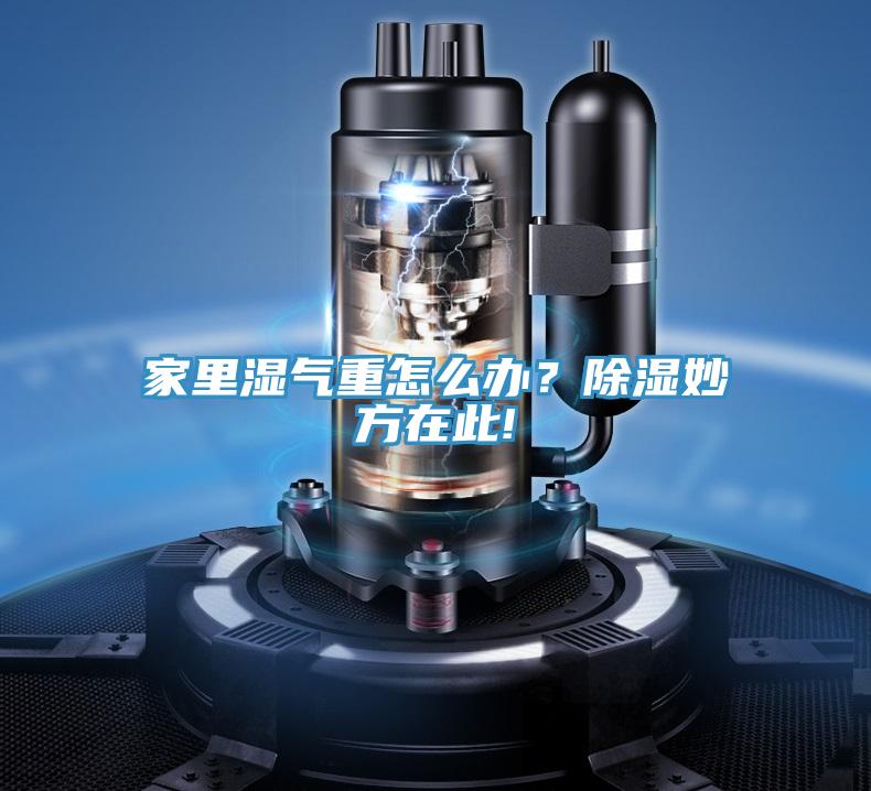 家里濕氣重怎么辦？除濕妙方在此!
