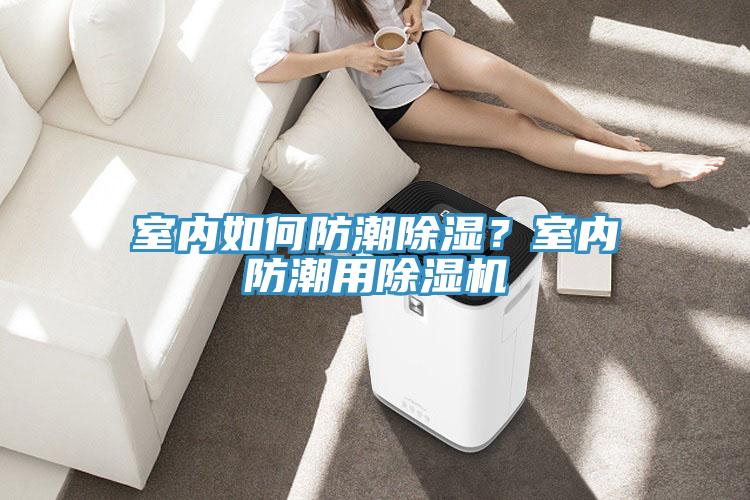 室內(nèi)如何防潮除濕？室內(nèi)防潮用除濕機(jī)