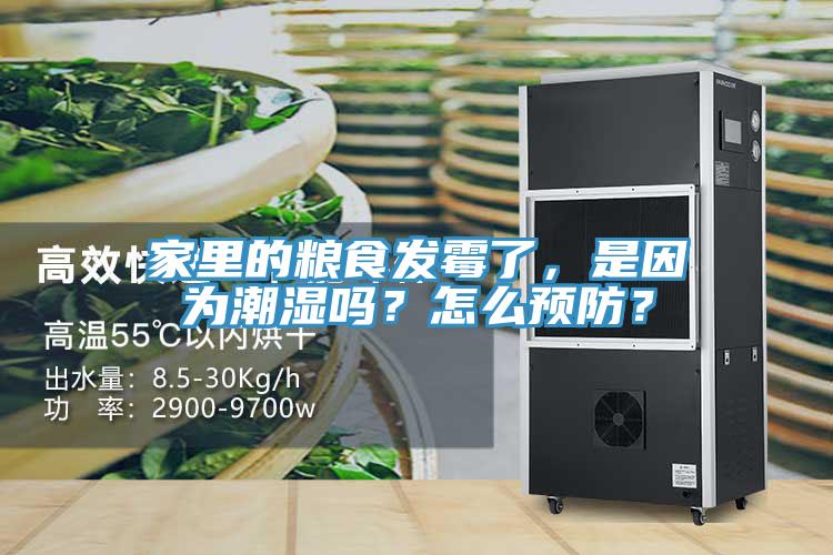 家里的糧食發(fā)霉了，是因?yàn)槌睗駟?？怎么預(yù)防？