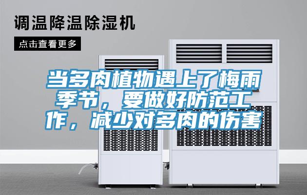 當(dāng)多肉植物遇上了梅雨季節(jié)，要做好防范工作，減少對多肉的傷害