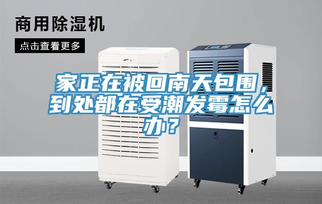 家正在被回南天包圍，到處都在受潮發(fā)霉怎么辦？