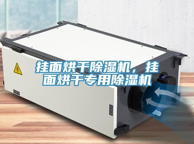 掛面烘干除濕機，掛面烘干專用除濕機