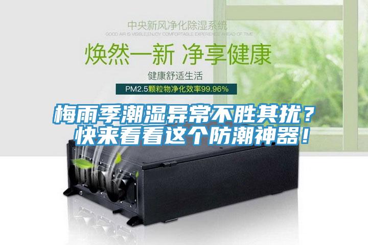 梅雨季潮濕異常不勝其擾？ 快來看看這個防潮神器！