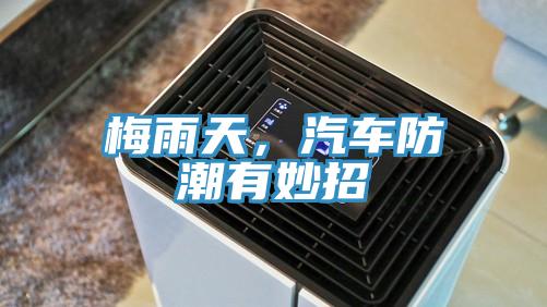 梅雨天，汽車(chē)防潮有妙招