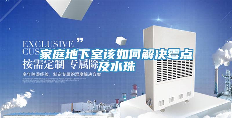 家庭地下室該如何解決霉點及水珠