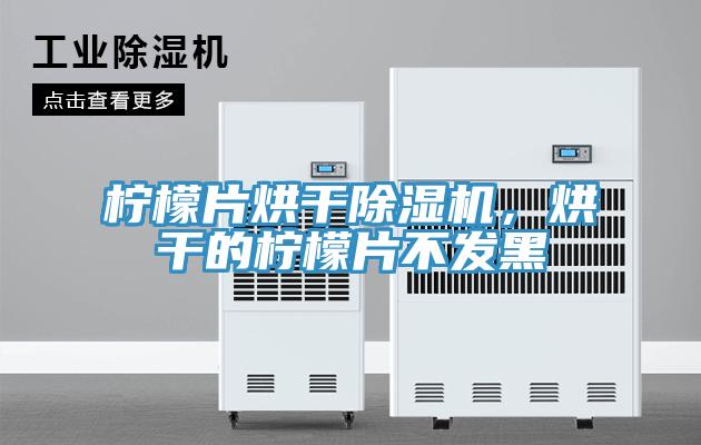檸檬片烘干除濕機(jī)，烘干的檸檬片不發(fā)黑