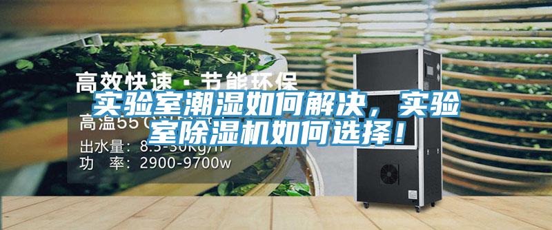 實(shí)驗(yàn)室潮濕如何解決，實(shí)驗(yàn)室除濕機(jī)如何選擇！