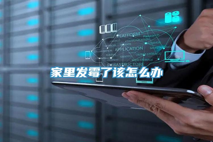 家里發(fā)霉了該怎么辦