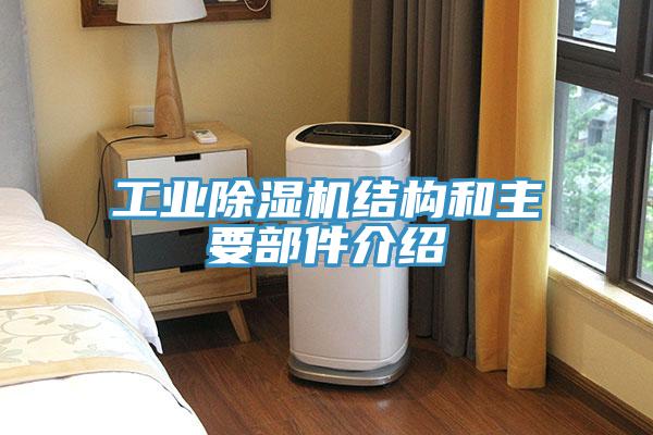 工業(yè)除濕機結(jié)構(gòu)和主要部件介紹