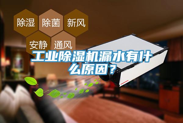 工業(yè)除濕機(jī)漏水有什么原因？