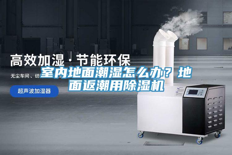 室內(nèi)地面潮濕怎么辦？地面返潮用除濕機(jī)