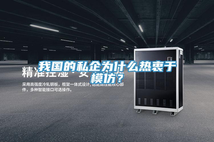 我國(guó)的私企為什么熱衷于模仿？