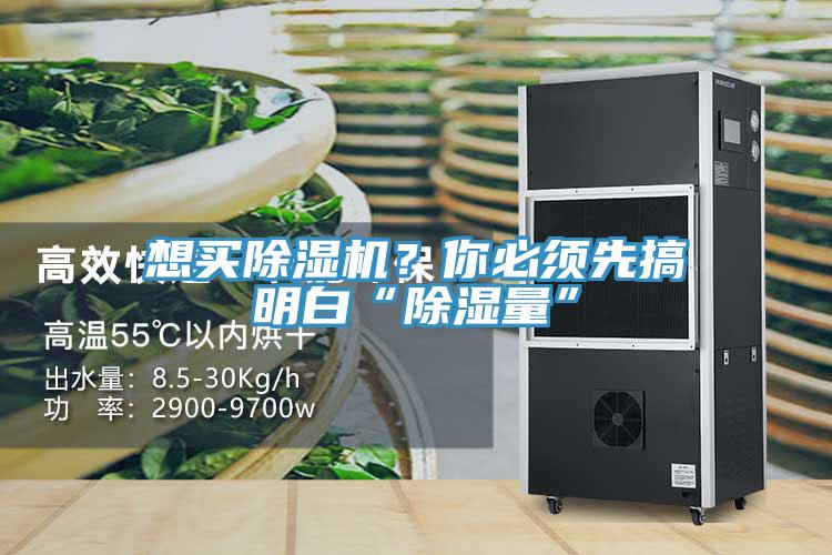 想買除濕機？你必須先搞明白“除濕量”