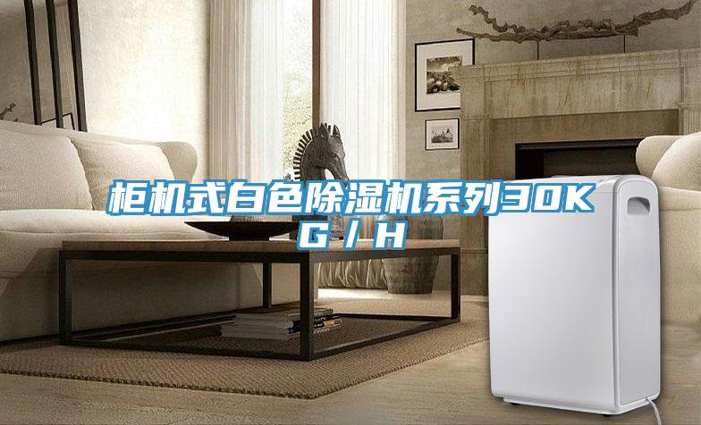 柜機(jī)式白色除濕機(jī)系列30KG／H