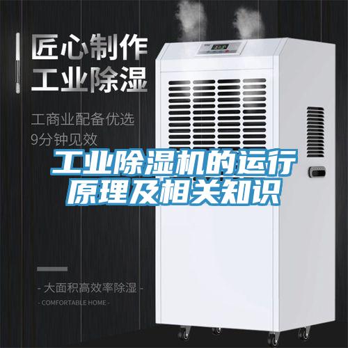 工業(yè)除濕機的運行原理及相關知識