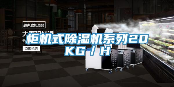 柜機(jī)式除濕機(jī)系列20KG／H