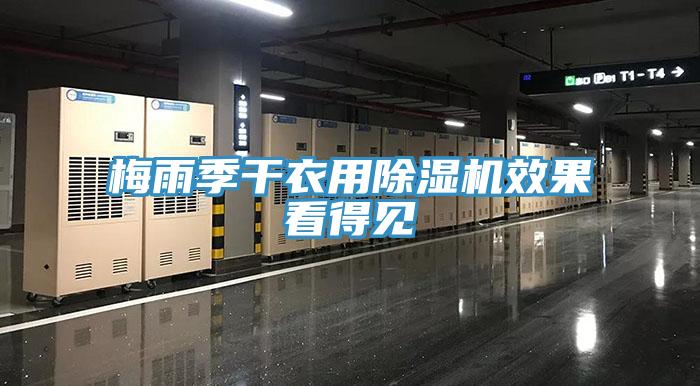 梅雨季干衣用除濕機(jī)效果看得見(jiàn)