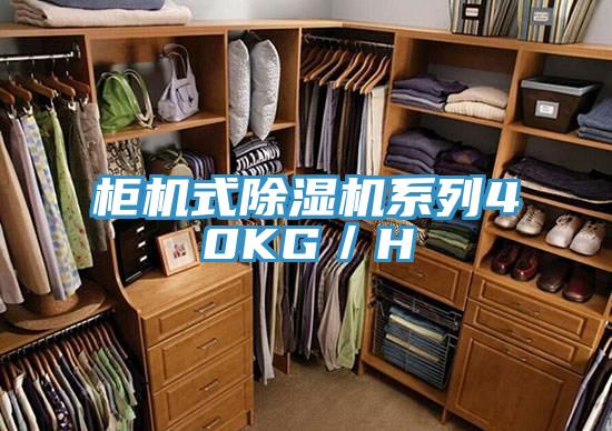 柜機(jī)式除濕機(jī)系列40KG／H