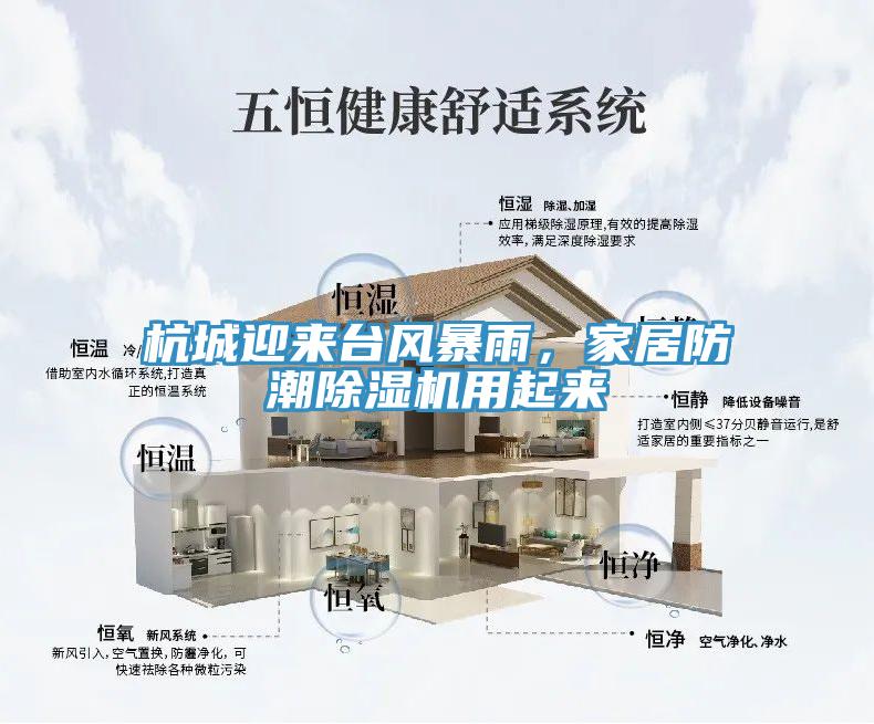 杭城迎來(lái)臺(tái)風(fēng)暴雨，家居防潮除濕機(jī)用起來(lái)