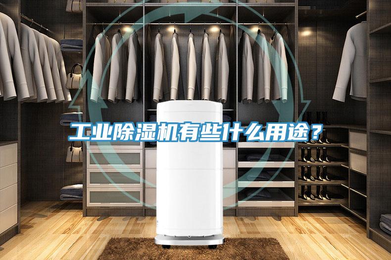 工業(yè)除濕機有些什么用途？
