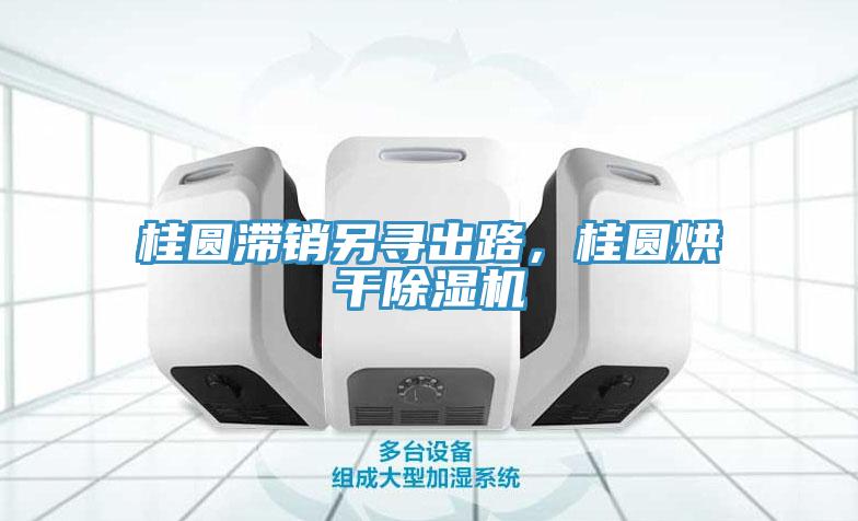 桂圓滯銷(xiāo)另尋出路，桂圓烘干除濕機(jī)