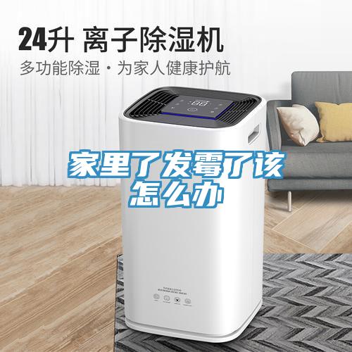 家里了發(fā)霉了該怎么辦