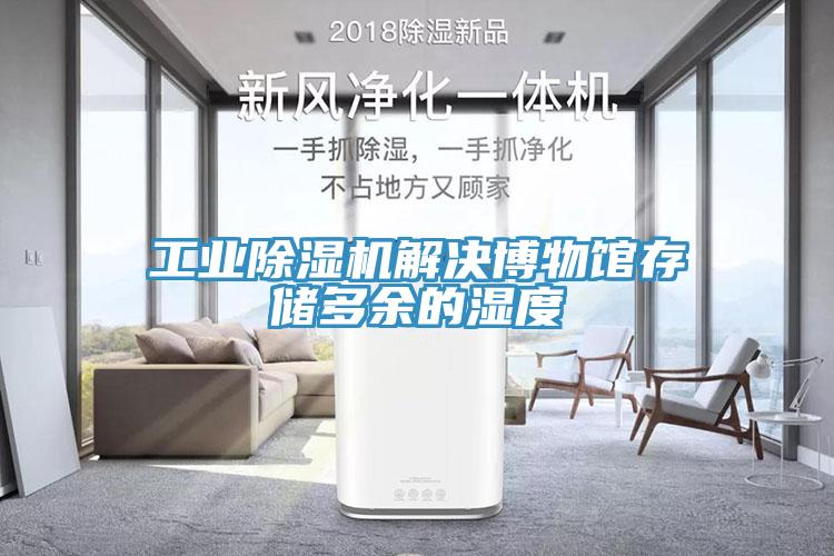工業(yè)除濕機(jī)解決博物館存儲(chǔ)多余的濕度