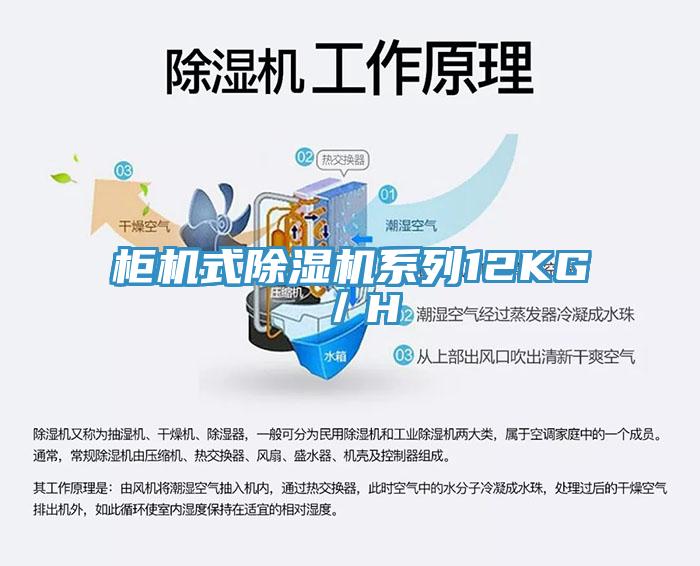 柜機(jī)式除濕機(jī)系列12KG／H