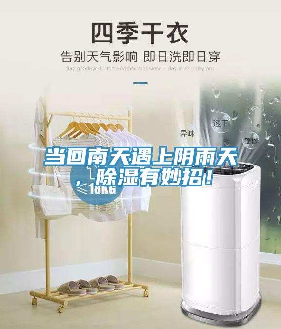 當(dāng)回南天遇上陰雨天，除濕有妙招！