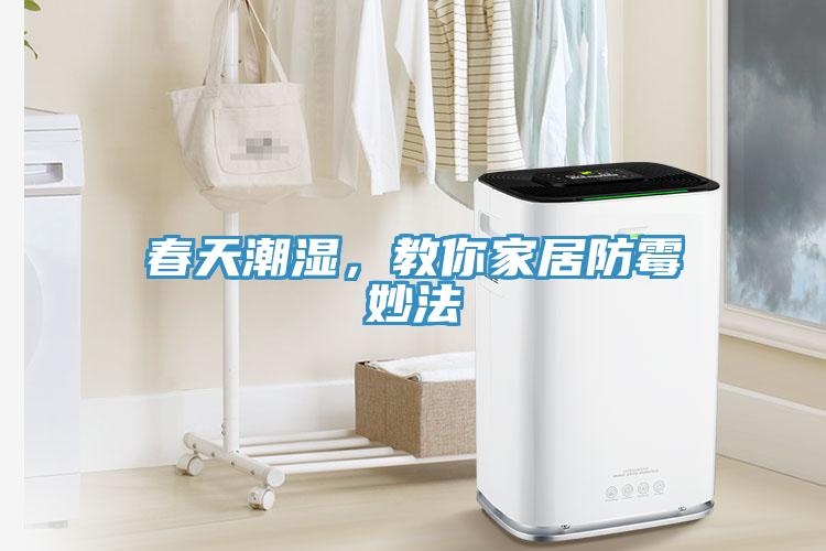 春天潮濕，教你家居防霉妙法