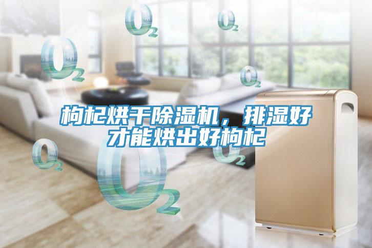 枸杞烘干除濕機，排濕好才能烘出好枸杞