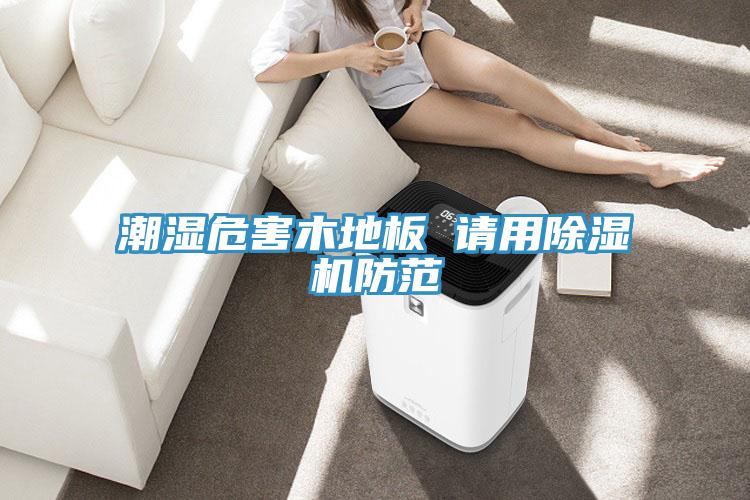 潮濕危害木地板 請(qǐng)用除濕機(jī)防范