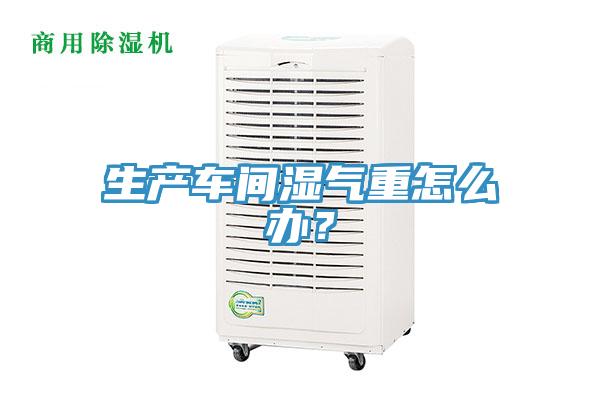 生產(chǎn)車間濕氣重怎么辦？