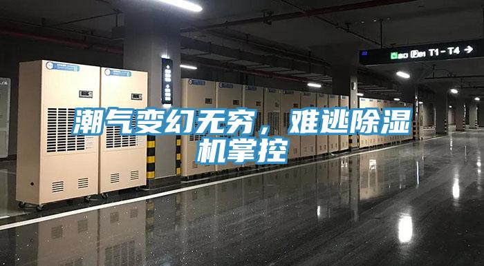 潮氣變幻無窮，難逃除濕機(jī)掌控