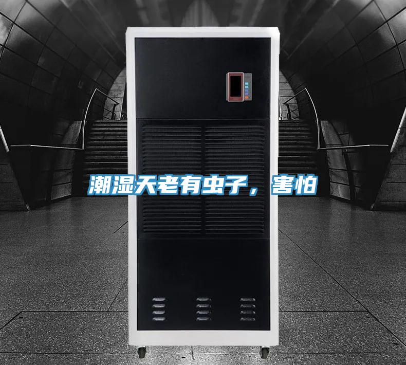 潮濕天老有蟲子，害怕