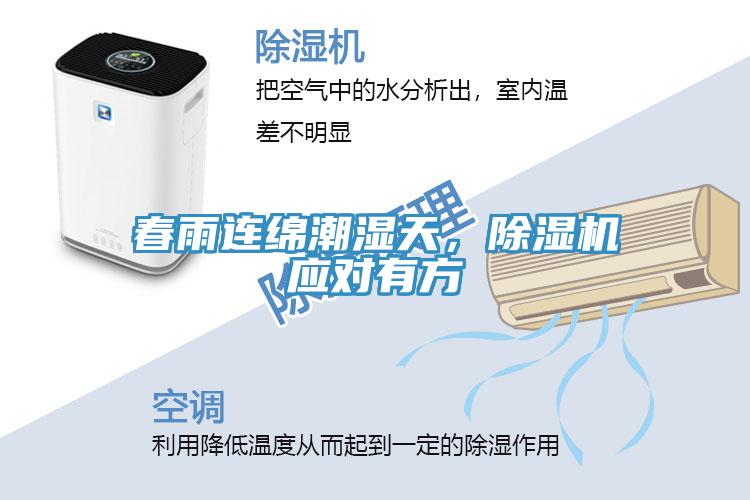 春雨連綿潮濕天，除濕機(jī)應(yīng)對有方