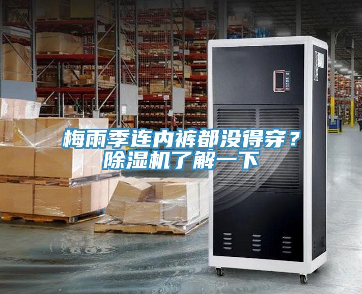 梅雨季連內(nèi)褲都沒(méi)得穿？除濕機(jī)了解一下