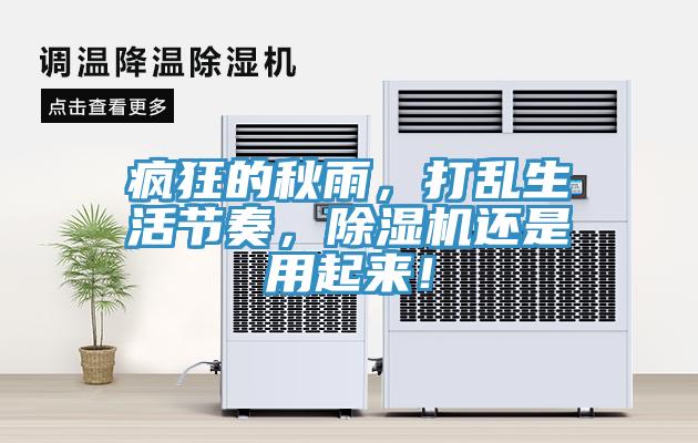 瘋狂的秋雨，打亂生活節(jié)奏，除濕機(jī)還是用起來！