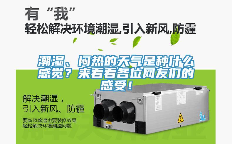潮濕、悶熱的天氣是種什么感覺？來看看各位網(wǎng)友們的感受！